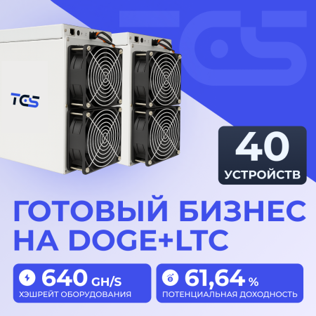 Майнинг-фермана DOGE+LTC 40 устройств